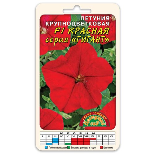 ������ ������ ������ �������� ��� 