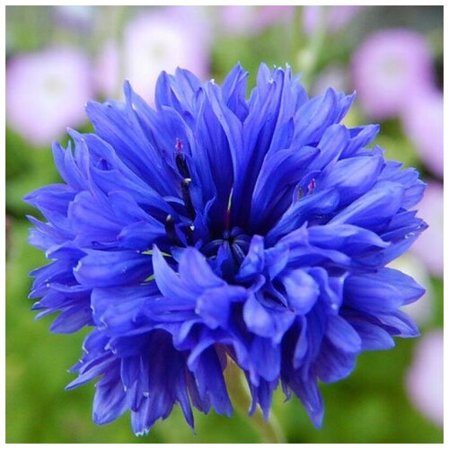 ������ ������ ������ ������ ������ ��� �������� 30 ��. ����