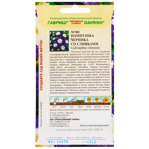 ������ ������ ����� 