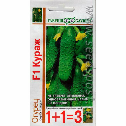 ������ ������ ������ ������ ����� F1 (1 ��-20 �����) ������ 1+1=3 ����