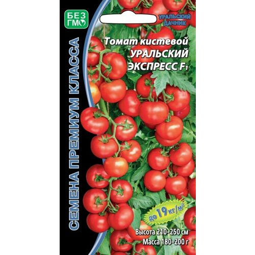 ������ ������ ������ ����� ��������� �������� �������� F1 10�� ������ (��������� ������) ����