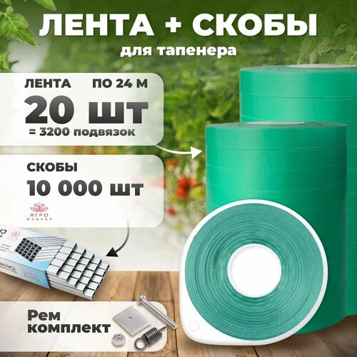 ������ ������ ����� ��� �������� 24�. 140 ���. 20 ���� + ����� 10.000�� + ����������� ����