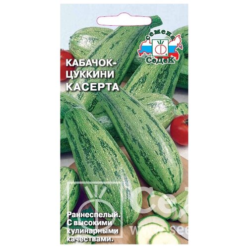 ������ ������ ������ ����� ������� ������� (2 ��������) ����