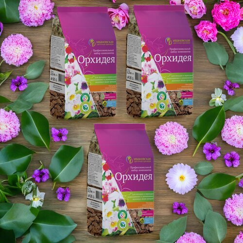 ������ ������ ����� ��� ������� �������� 2.5� / 3��. ���������� ��������� ���������. ����