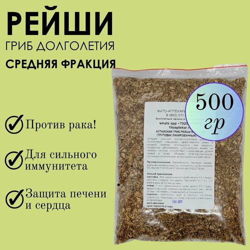 ������ ������ ���� ����� 