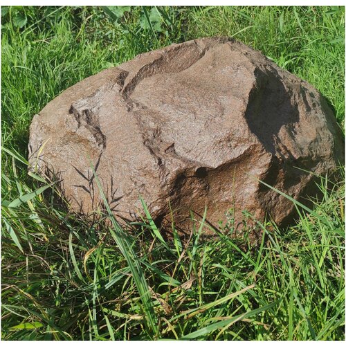 ������ ������ ������������ ������ ��� ���� ����