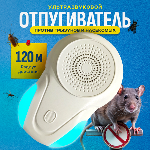 ������ ������ ������������ �����, �������, ����, ��������� ��������� �������������� ����