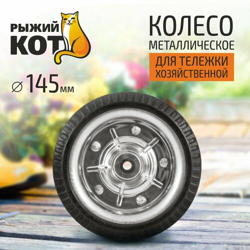 ������ ������ ������ ������������� 145 �� ����