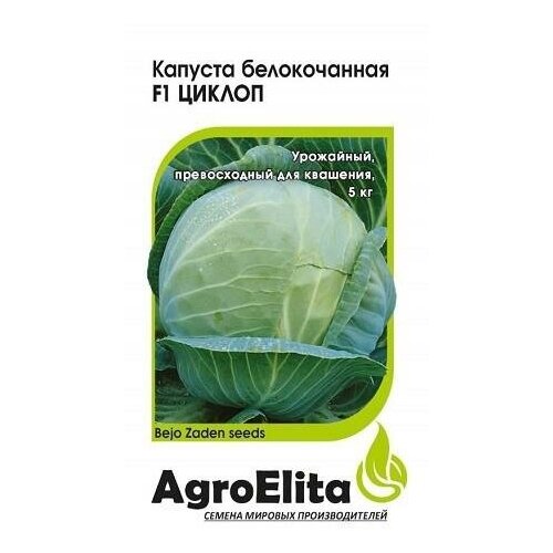 ������ ������ ������. ������� ������������ 