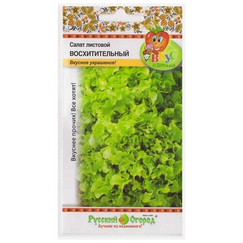 ������ ������ ������. ����� �������� 