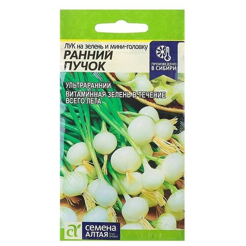 ������ ������ ������ ��� �� ������ � ����-������� 