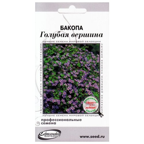 ������ ������ ������ ������� �������, 3 ����� ����