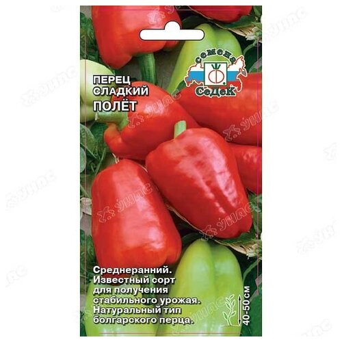 ������ ������ ������ ����� �������� 