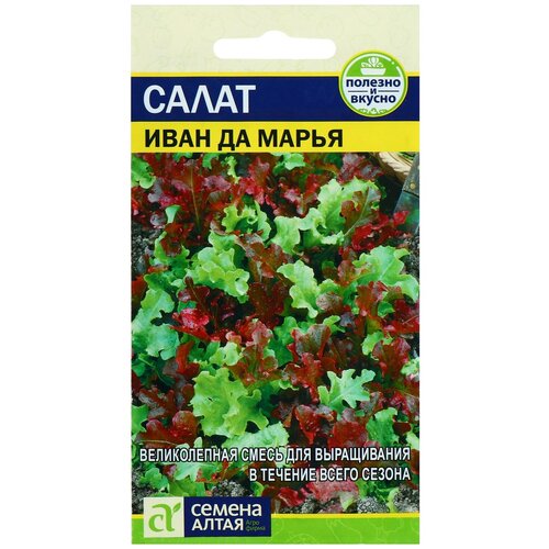 ������ ������ ������ ����� 