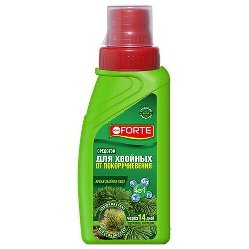 ������ ������ �������� ��� ������� �� �������������� 285�� Bona Forte ����