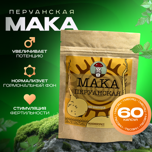 ������ ������ ��������������� ������ MUHOMORSPACE ���������� ����, �������� � ��������, ����� �� �����, 60 ������ �������� � ������ ����