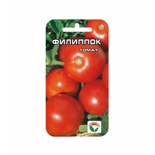 ������ ������ ������ ����� �������� 20�� ��� ������ (��������� ���) ����