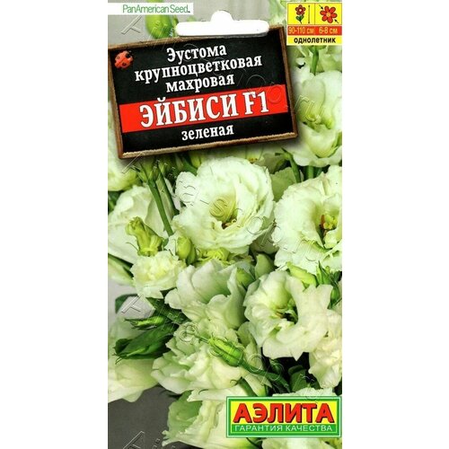 ������ ������ ������� ��������������� �������� ������ ������� F1 ( 1 �������� ), ������ ����