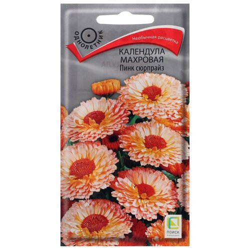 ������ ������ ������ ������ ��������� �������� ���� �������� 0,4 � ����