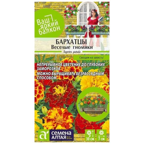 ������ ������ ������ 