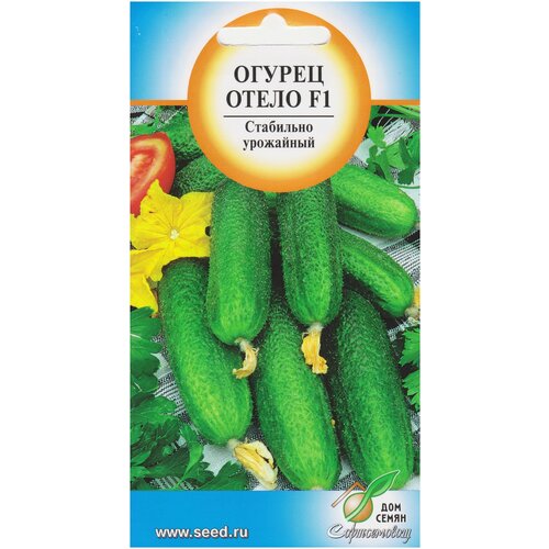 ������ ������ ������ ����� F1, 10 ����� ����