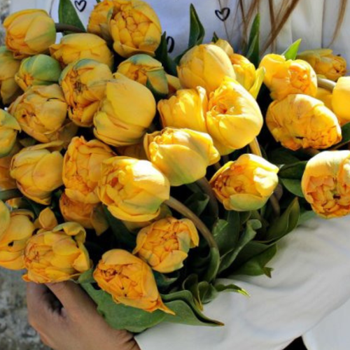 ������ ������ �������� �������� DOUBLE TROUBLE ( 5 �� ) ����