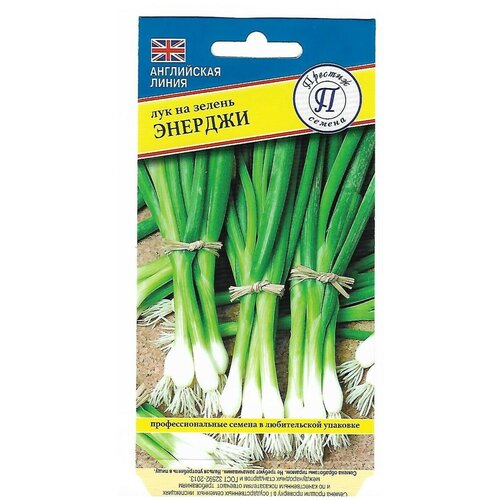 ������ ������ ������ ��� �� ������ ������� ����