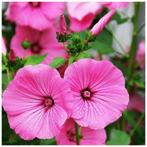 ������ ������ ������ ������ �������� ������������ 30 ��. ����