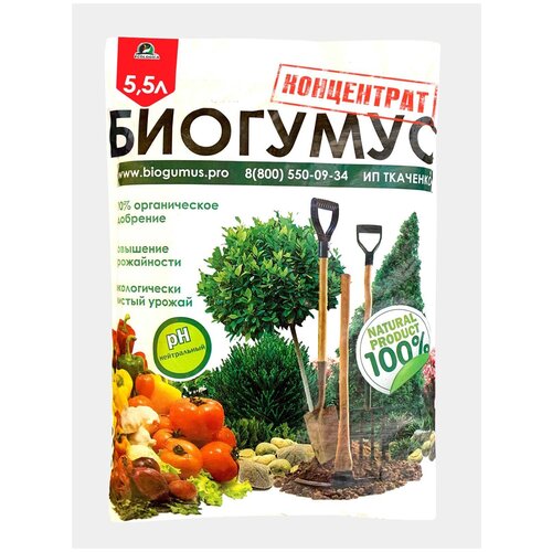 ������ ������ ��������� ������������ �������� ����������, 5,5�, 5 �� ����