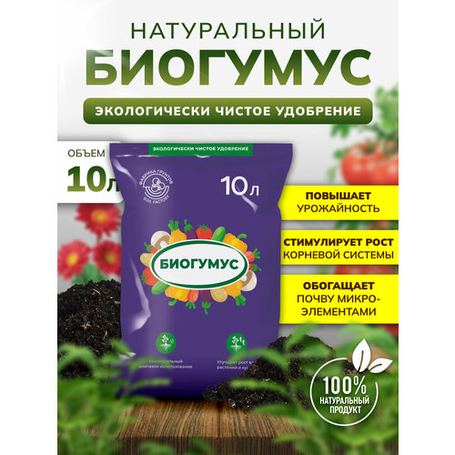 ������ ������ �������� ����� ��� �������� � ������� �����������, 10 �, InHome Green ����