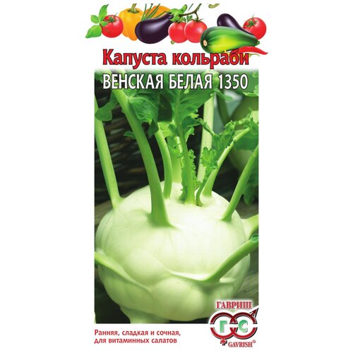 ������ ������ ������. ������� �������� 