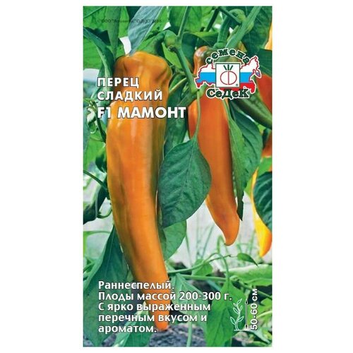 ������ ������ ������ ����� �������� 