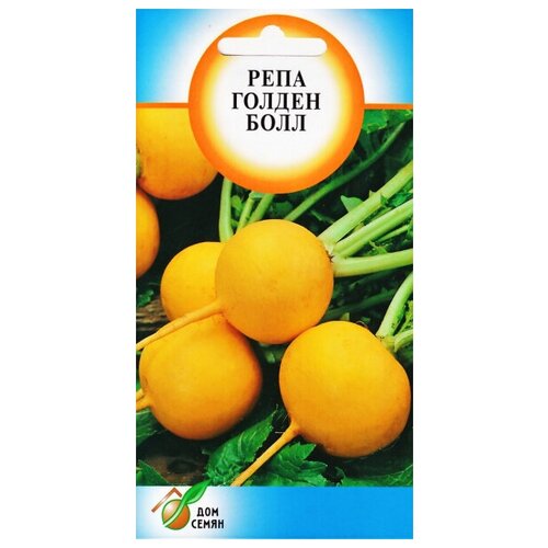 ������ ������ ���� ������ ����, 650 ����� ����