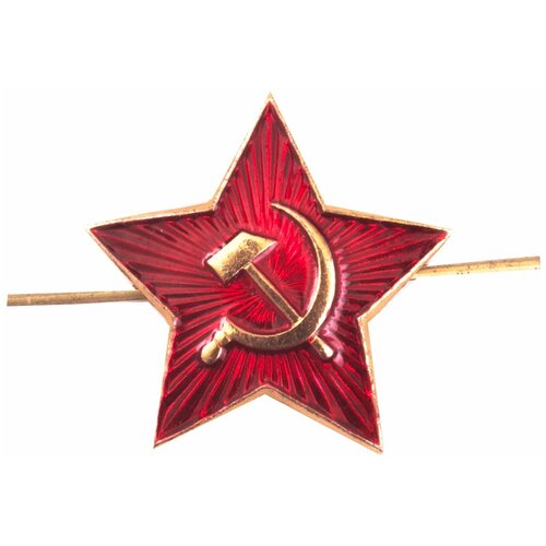 ������ ������ ������� ������ ��������� ����� 30 ��. ����