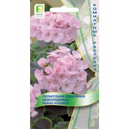 ������ ������ ���������� ��������� ����������� �����-�������, 5 ����� � ��������. ����