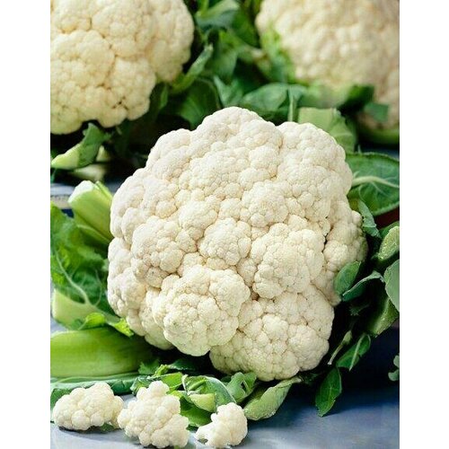 ������ ������ ������ ������� ������� �������� ������ 0,25� ������ (��������� ������) ����