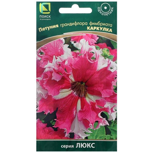 ������ ������ ������ ����� ������� �����������, ��������� �������� 10 ��. ����