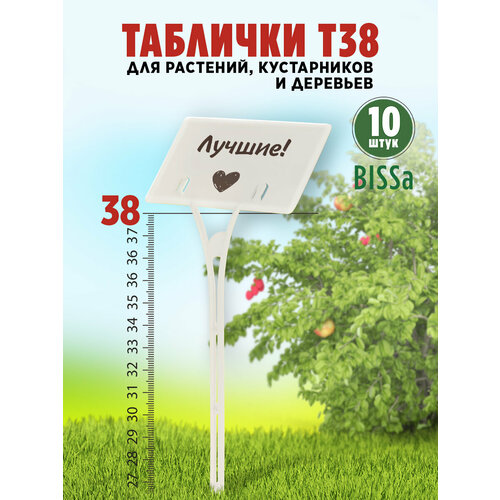 ������ ������ ������� �������� ��� ��������, Bissa �38, �����, 10 �� ����