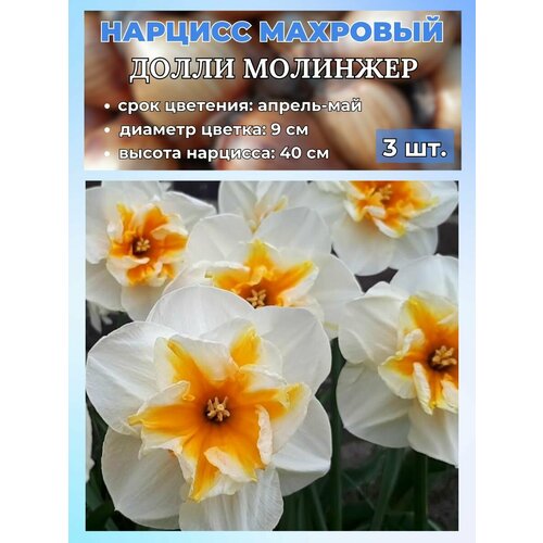 ������ ������ ������� ��������. �������� 3 ����� ����