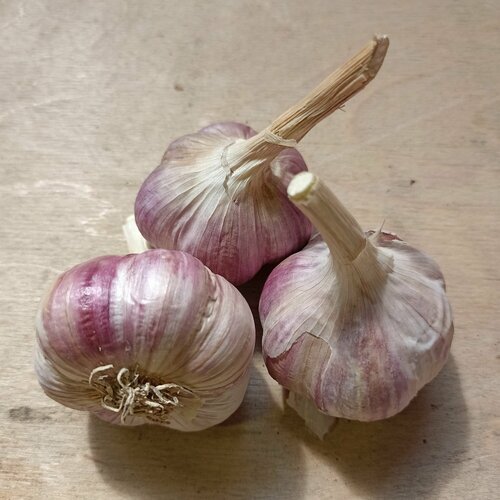 ������ ������ ������ ������ �����, ��������� ���������������� ������ ��������, 3 �� ������� ����