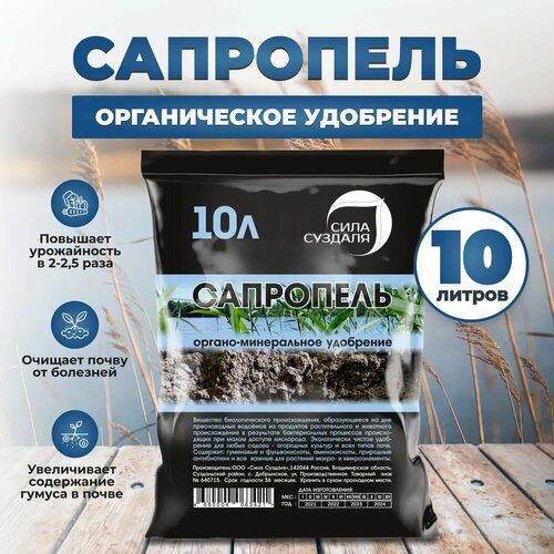 ������ ������ ��������� / ��������� ���� ������� / ��������� ����������, 10� ����