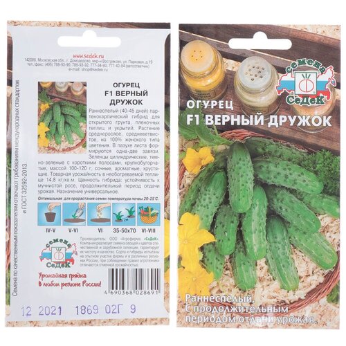 ������ ������ ������ ������, ������ ������ F1, ������� ��������, ����� ����