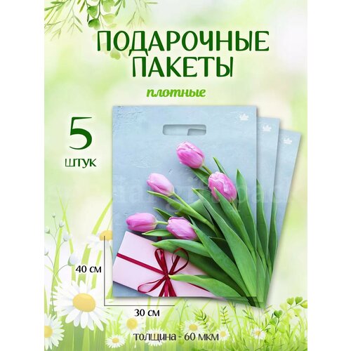 ������ ������ ���������� ������ ����� �������������� ����