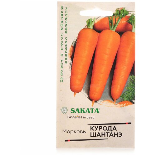 ������ ������ ������. ������� 