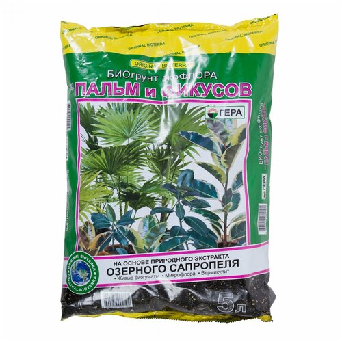 ������ ������ ����� 