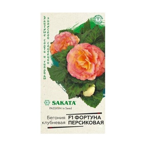 ������ ������ ������ ������� ������� ���������� F1 ������ ��������� 4 �� ����