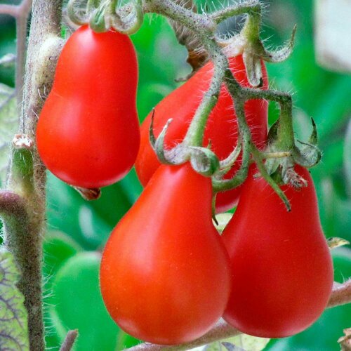 ������ ������ ����� ����� ������� 10 �� ��� ����������� ������ ����