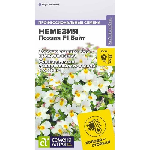 ������ ������ ������ ������� ������ F1 ���� 3�� ��� 35�� (������ �����) ����