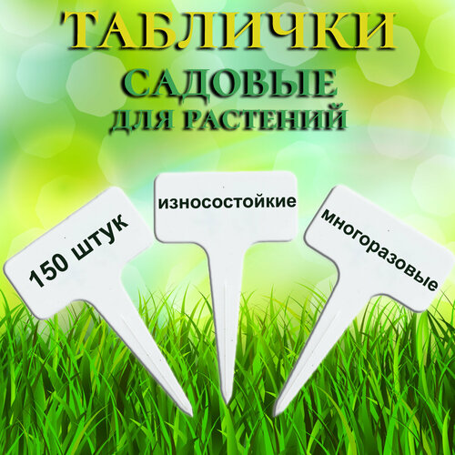 ������ ������ �������� ��� ���������� �������� �������, 150���� ����