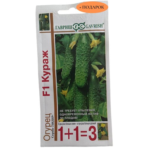 ������ ������ ������ ������ 